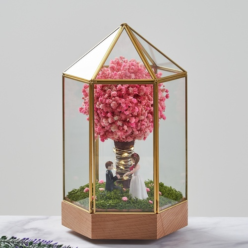 데일리로맨틱 드라이플라워 프리저브드플라워 안개꽃  시들지않는꽃 선물