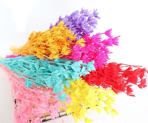 대용량 니겔라 파블로 프리저브드 드라이플라워 꽃다발 DIY 하바리움 만들기 도매