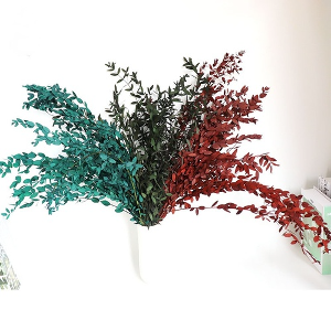 대용량 유카리 파블로 프리저브드 드라이플라워 꽃다발 DIY 하바리움 만들기 도매