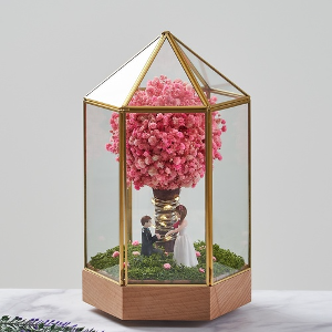 데일리로맨틱 드라이플라워 프리저브드플라워 안개꽃  시들지않는꽃 선물